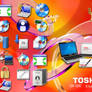 Toshiba OEM Icons