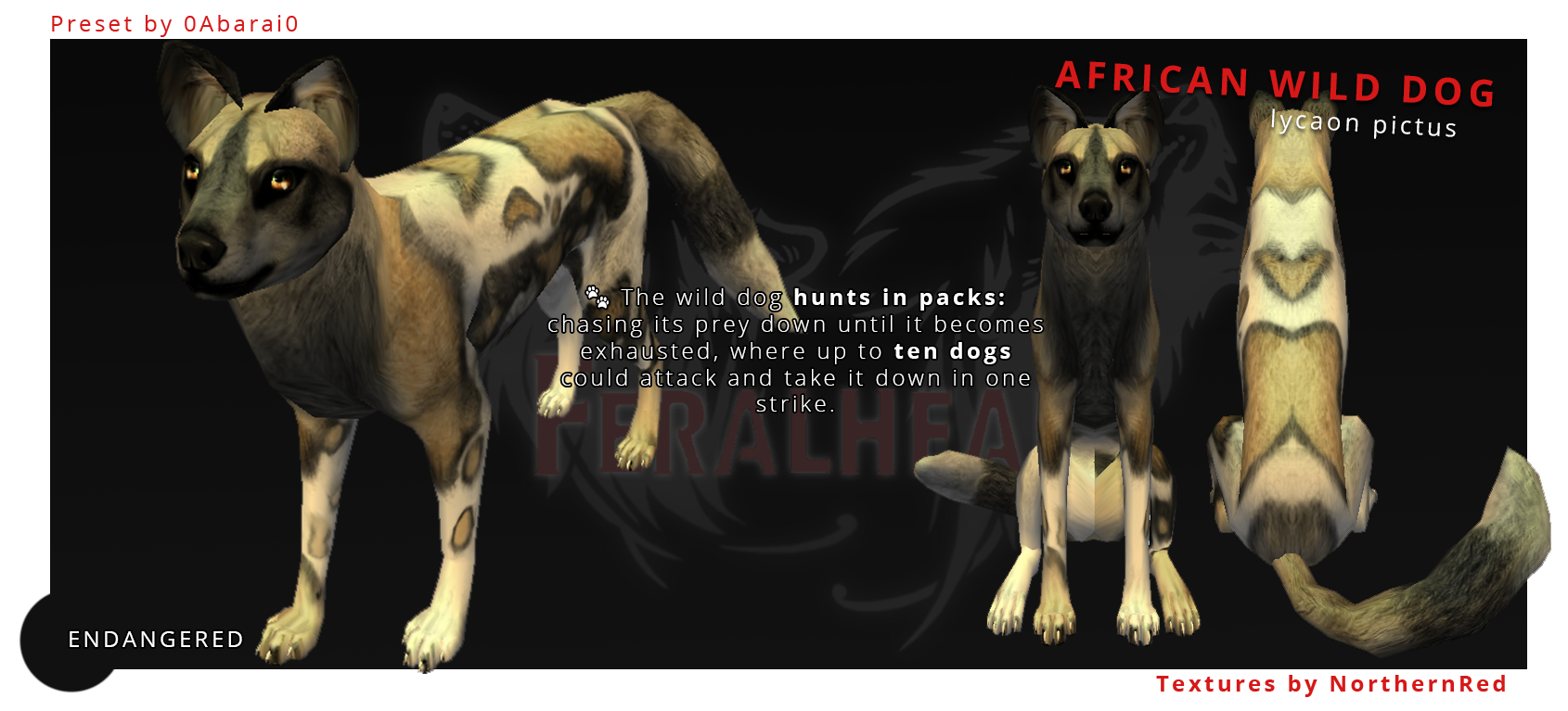 FREE!! African Wild Dog 2 by 0Abarai0 on DeviantArt