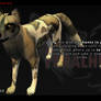 FREE!! African Wild Dog 2