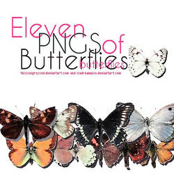 + eleven pngs butterflies