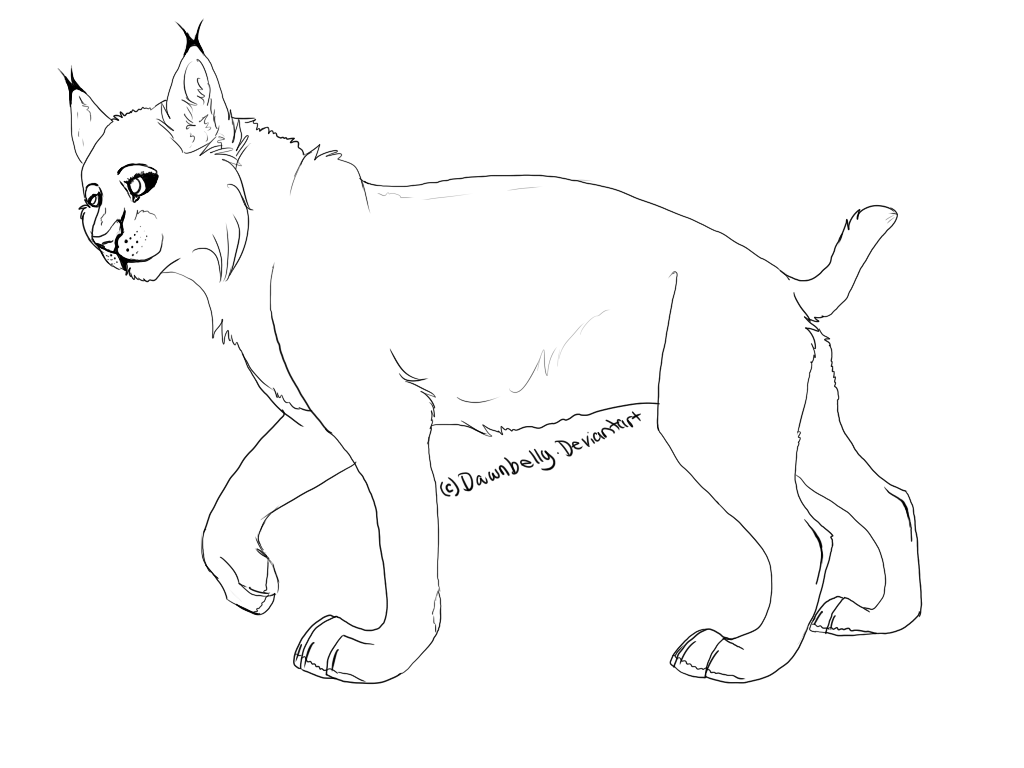 Free Lynx Lineart by Asleri on DeviantArt