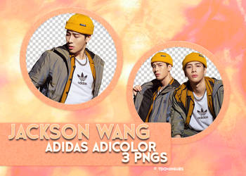 #025 Jackson Adidas adicolor