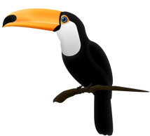 Toucan Vector PSD