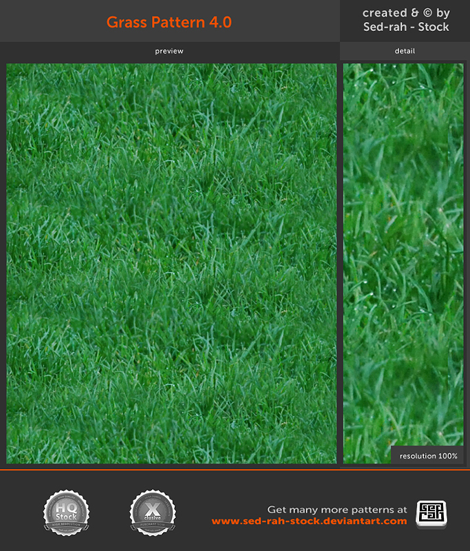 Grass Pattern 4.0