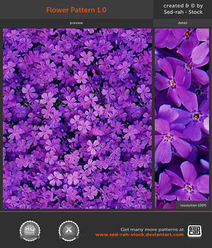 Flower Pattern 1.0