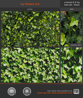 Ivy Pattern 2.0
