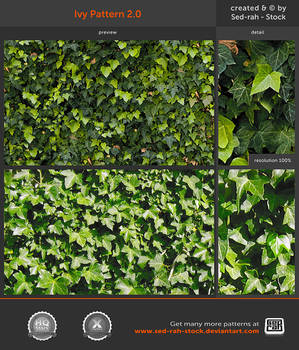 Ivy Pattern 2.0