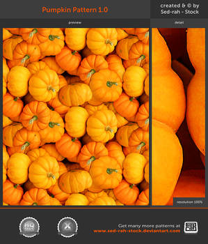 Pumpkin Pattern 1.0