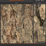 Tree Bark Pattern 5.0