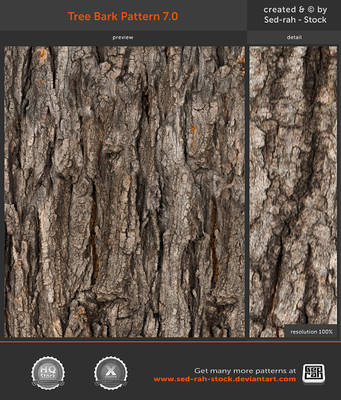 Tree Bark Pattern 7.0