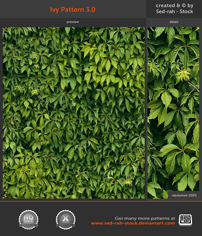 Ivy Pattern 3.0 by Sed-rah-Stock