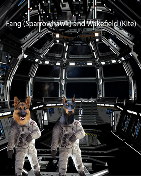 Fang and Wakefield in Spaceship