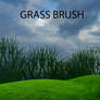 GRASS BRUSH