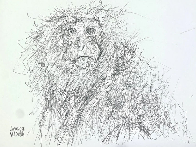 Primates Deviantart Unsuspecting primate by Verdana0 on DeviantArt