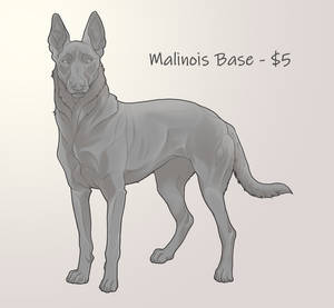 Malinois Base - $5