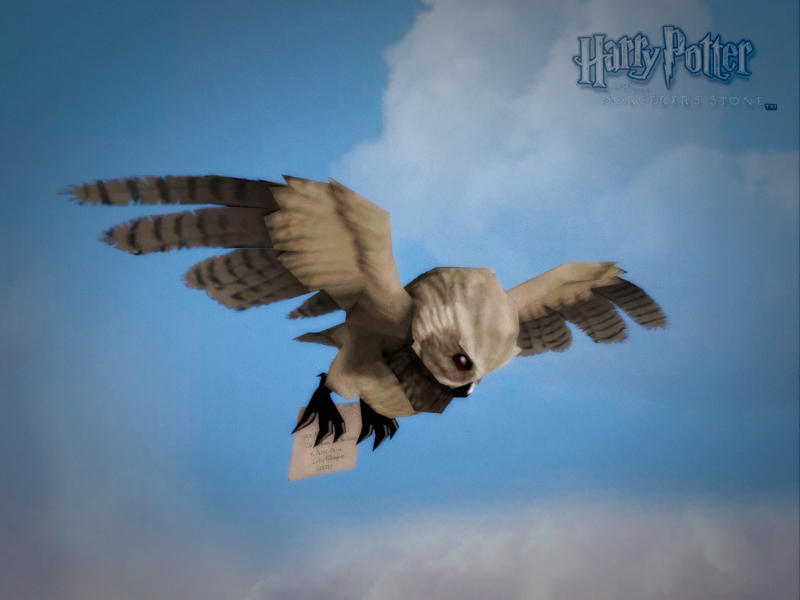 Owl 1 by suummalumcuique on DeviantArt