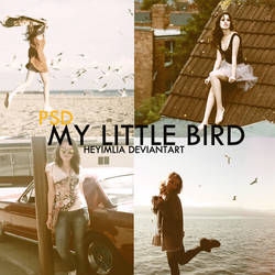 My Little Bird PSD