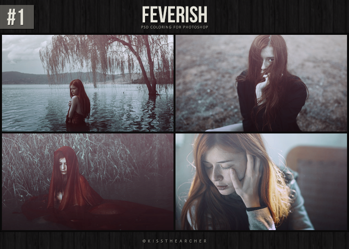 PSD #1 - Feverish