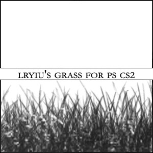 Lryiu's Grass