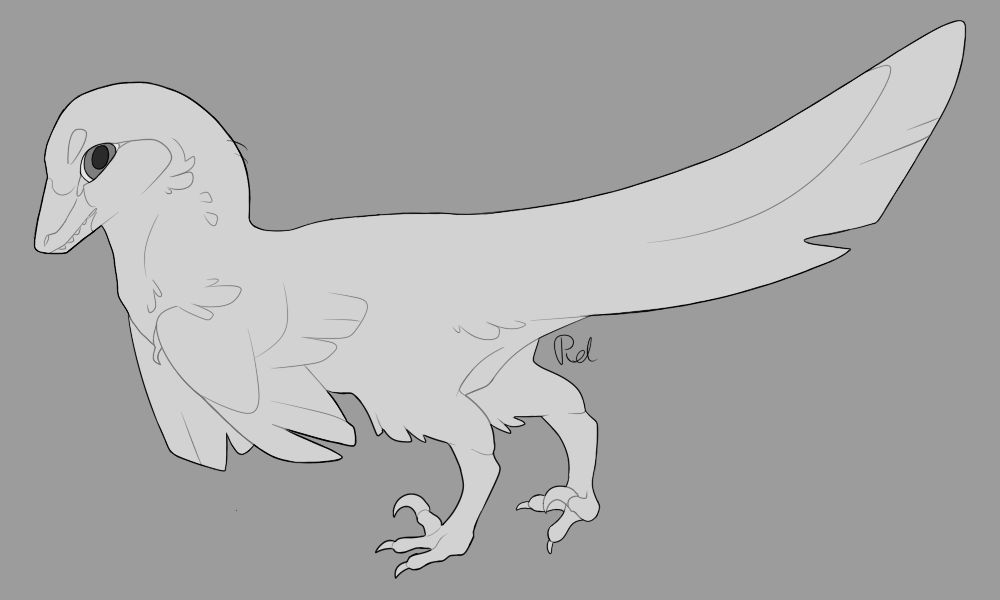 Feathered raptor base [F2U] PSD by Raiindeer on DeviantArt