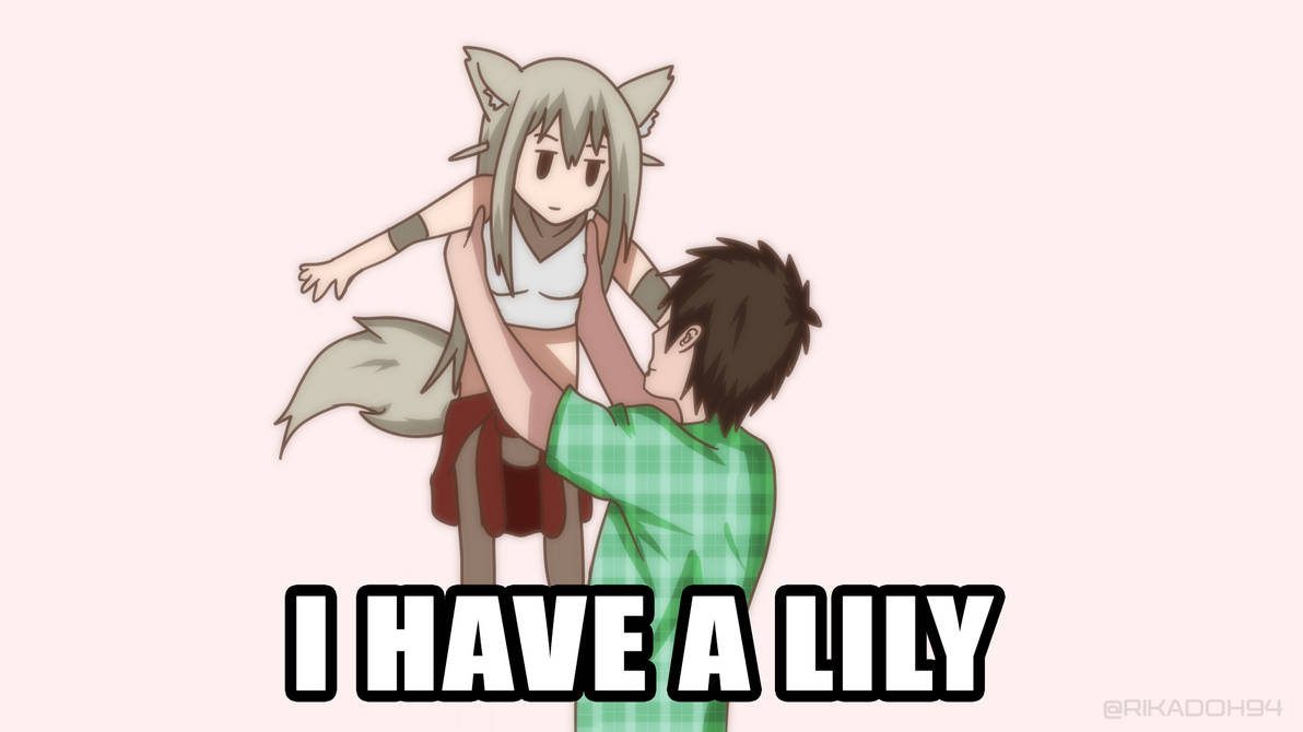 Featured image of post Rikadoh Lily The Fox Mechanic
