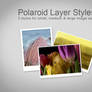 Polaroid Layer Styles