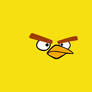 AngryBird WallpaperPack-YELLOW