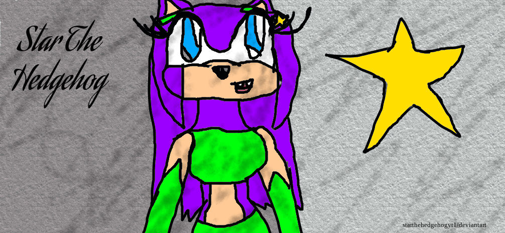 Star The Hedgehog by starthehedgehogyt1 on DeviantArt