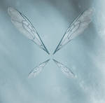 Blue Fairy Wings by JinxMim
