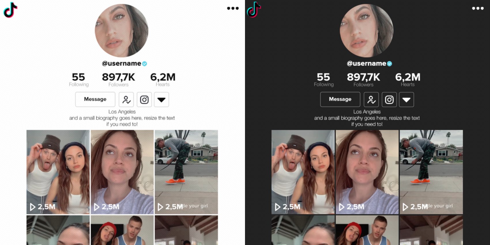 TikTok Profile Template