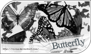 butterfly