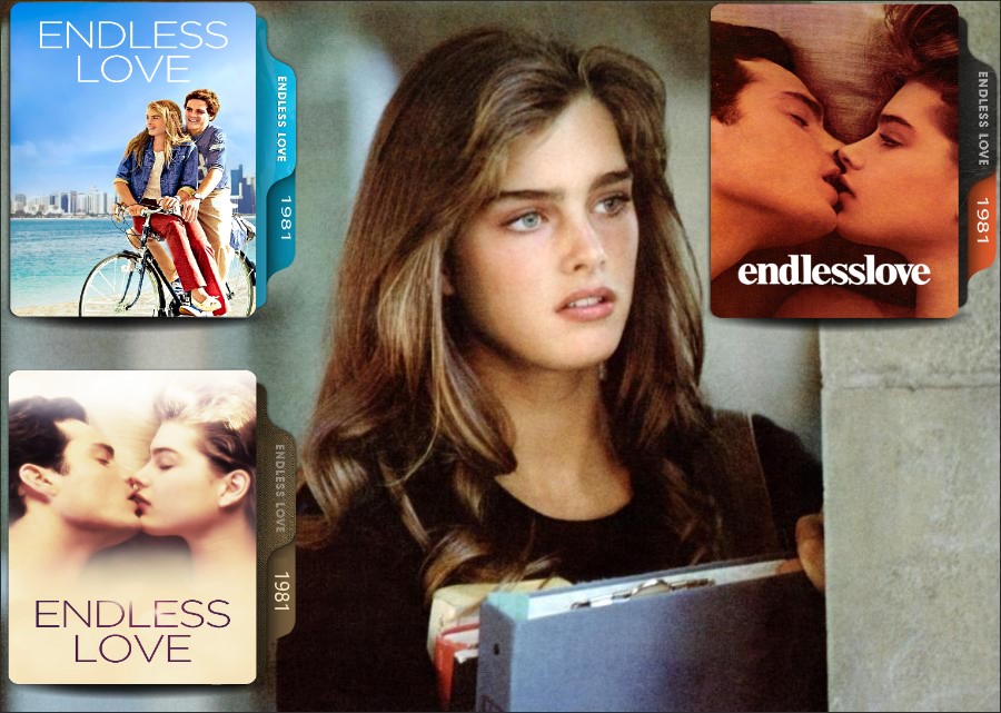 Endless love movie poster