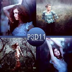 PSD #11