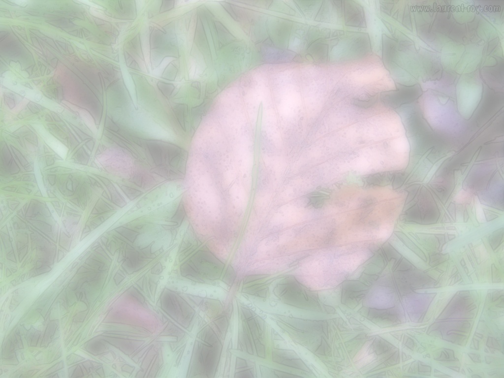 Wallpaper 002 by laurentroy