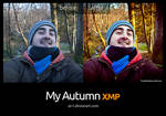 My Autumn Action (XMP camera raw preset) by air-t