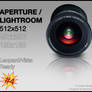 Lightroom or Aperture 4.0