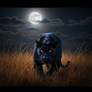 Black Panther
