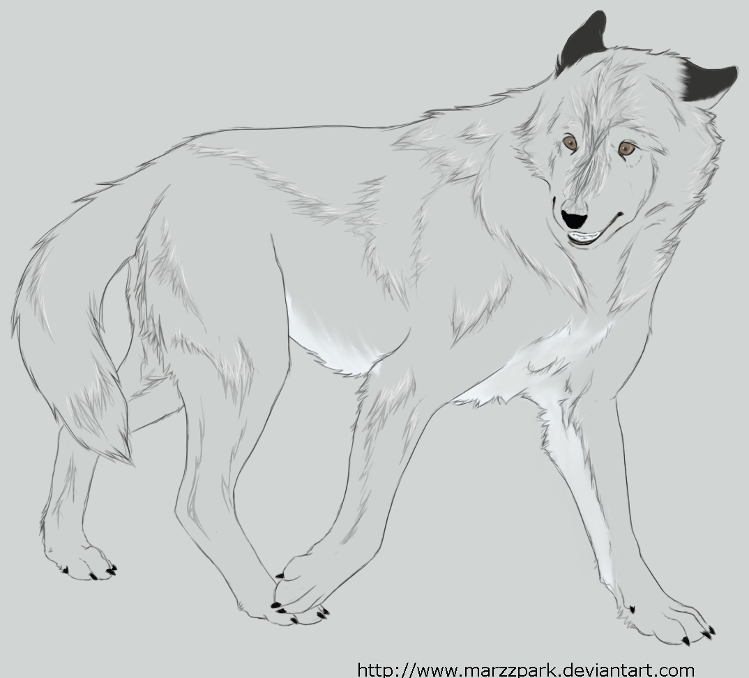 Commission for LOST09 by TrueKingSimba on DeviantArt