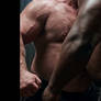 Belly-to-belly wrestling matches