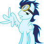 Soarin Flipping the Bird