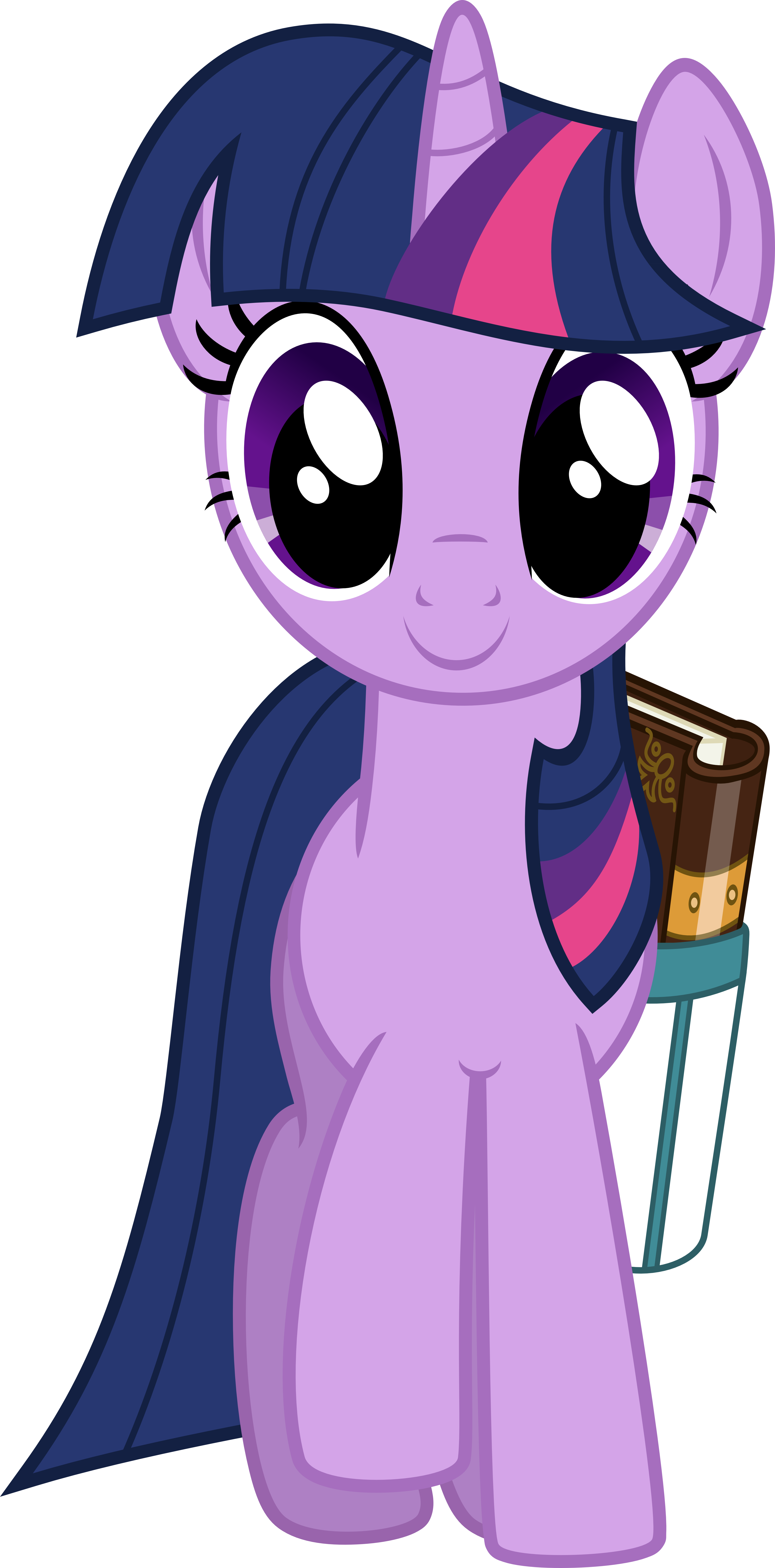 Twilight Sparkle Walking With Book