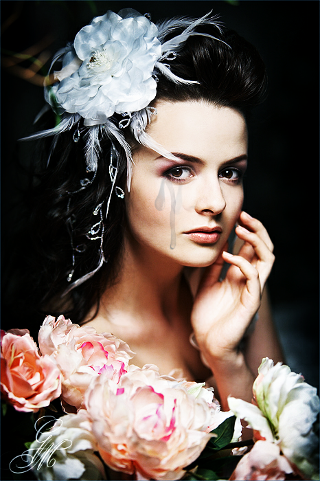 Tears Brushes - GIMP