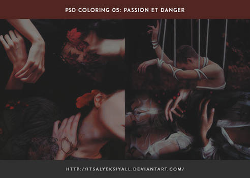 PSD COLORING 05 PASSION ET DANGER