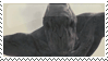 Cloverfield- Stamp