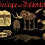 Paleontology Images PNG