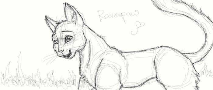 ravenpaw outline