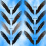 Feathered Wings 2B Stock Pack