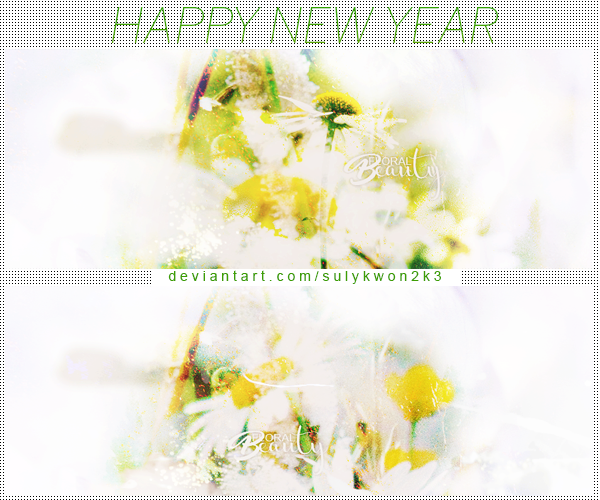 Happy New Year /// by sulykwon2k3 on DeviantArt