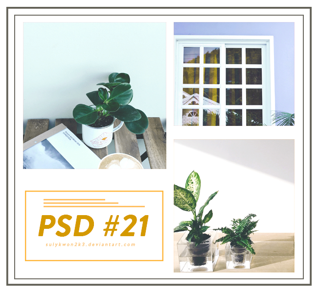 _PSD #21.