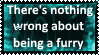 There's nothing wrong about being a furry